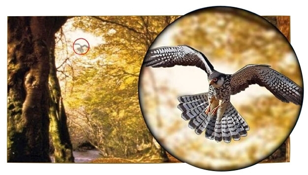 Teleobjektiivi 8x zoom matkapuhelimille