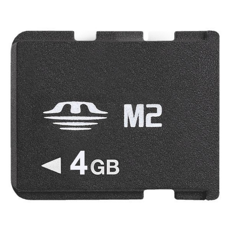 Micro M2 4gt Memory stick